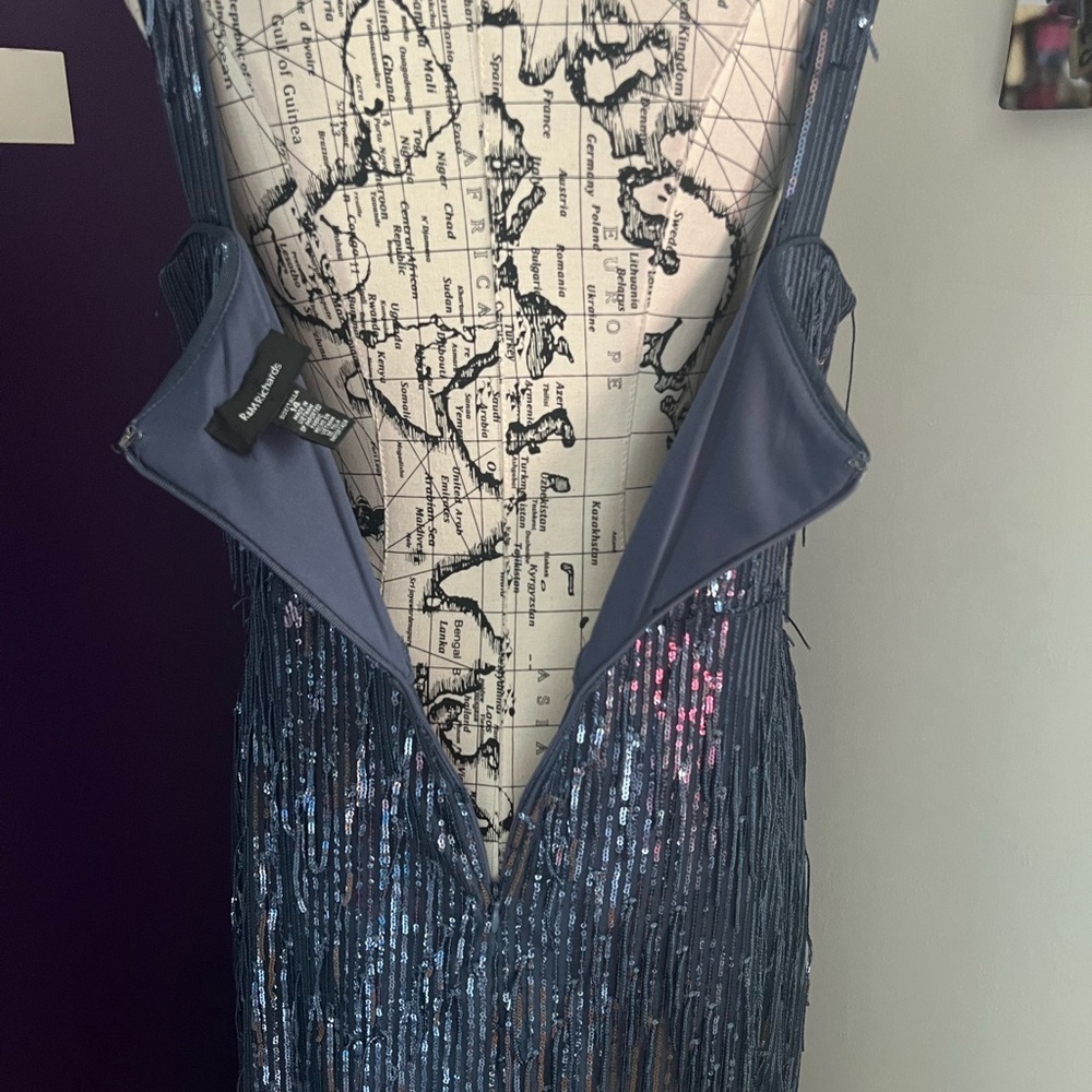 R&M Richards Sleeveless Sequin Fringe Dress - Picture 10 of 12
